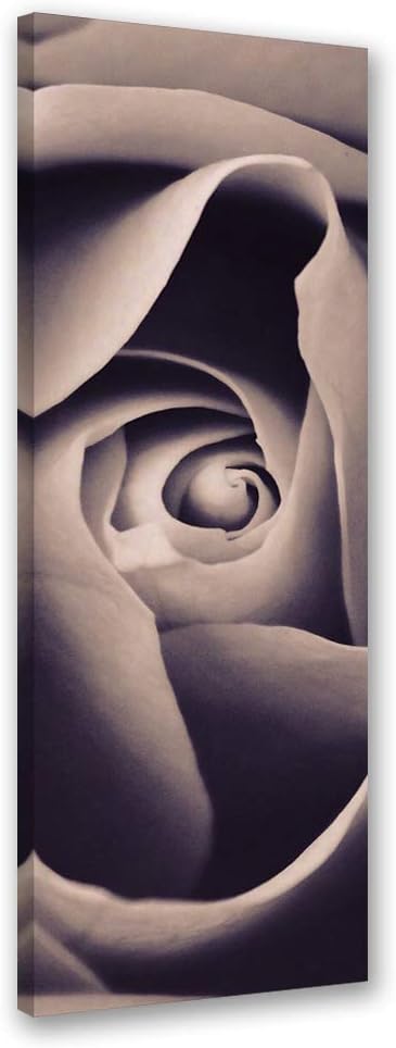 Leinwandbild XXL Rose Wandbild Kunst Natur Beige 60x150 cm Leinwandbild 60x150 cm Beige_a, Leinwandb