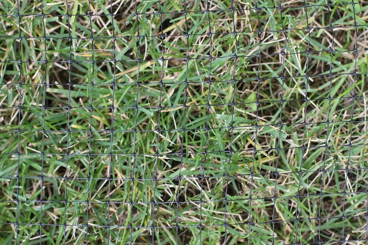 MAULWURFNETZ 2m x 50m Maulwurfbekämpfung Maulwurfsperre für Rasen-Rollrasen