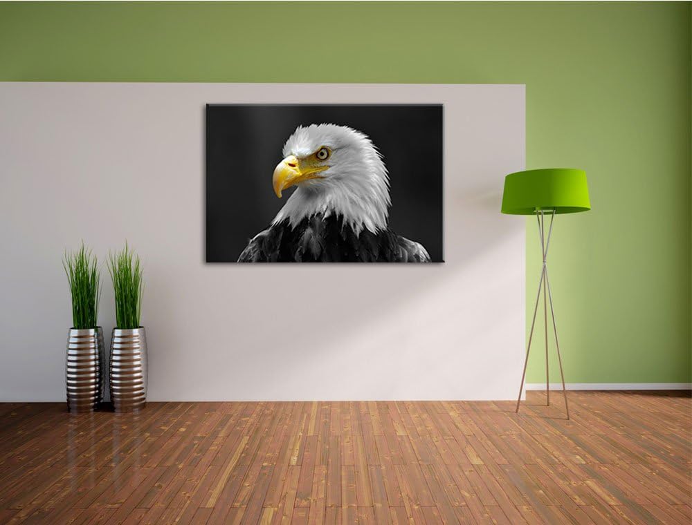 eindrucksvoller Weisskopfseeadler schwarz/weiss Format: 100x70 auf Leinwand, XXL riesige Bilder fert