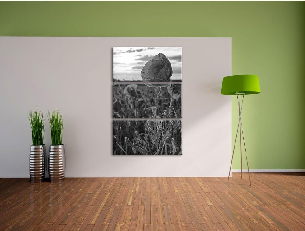 Pixxprint Mohnfeld Kunst B&W als Leinwandbild/Grösse: 3 Teilig (120x80) cm/Wandbild/Kunstdruck/ferti