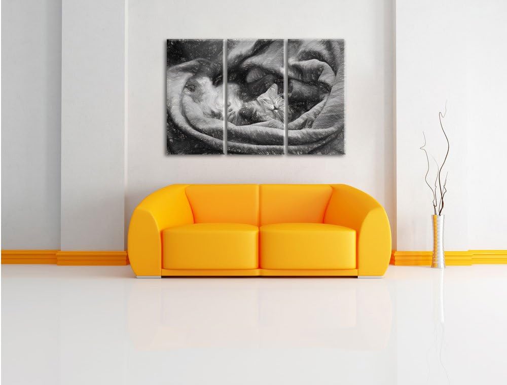 Pixxprint Babykatze als Leinwandbild/Grösse: 3 Teilig (120x80) cm/Wandbild/Kunstdruck/fertig bespann
