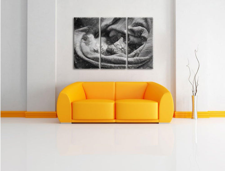 Pixxprint Babykatze als Leinwandbild/Grösse: 3 Teilig (120x80) cm/Wandbild/Kunstdruck/fertig bespann