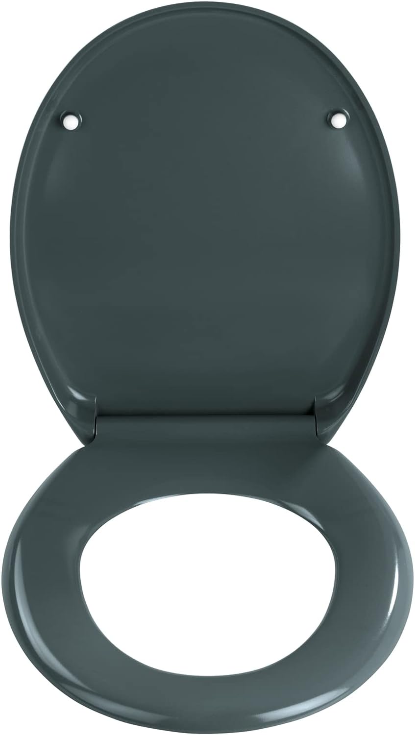 WENKO WC-Sitz Ottana Dunkelgrau, hygienischer Toilettensitz mit Absenkautomatik, WC-Deckel mit Fix-C