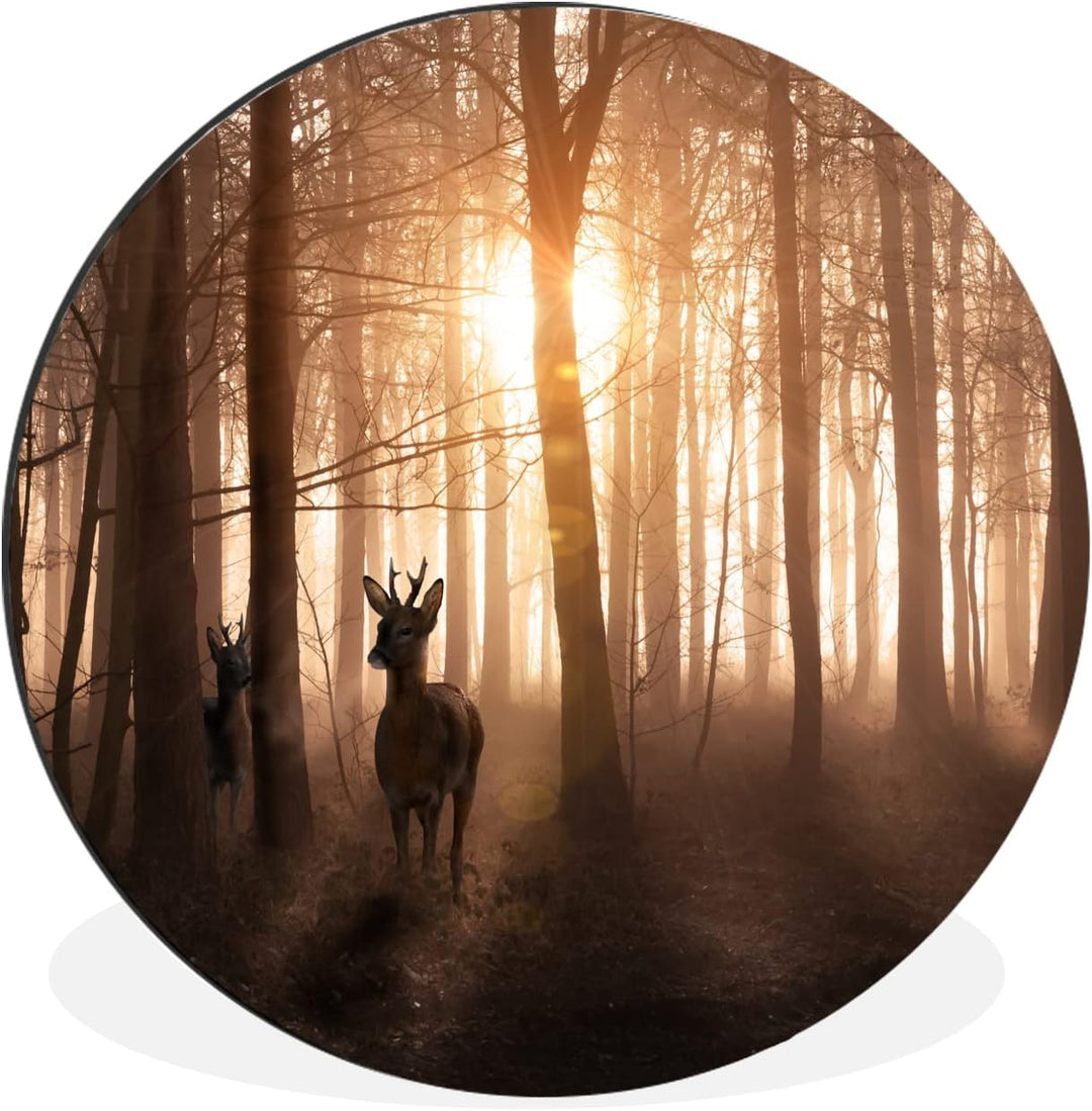 MuchoWow Wandbild Rund Wanddeko Deko Wohnzimmer Bilder 60x60 cm Wald - Hirsche - Sonne - Bäume - Win