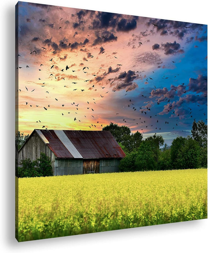 Scheune am blühendem Feld Format: 60x60 als Leinwandbild, Motiv fertig gerahmt auf Echtholzrahmen, H