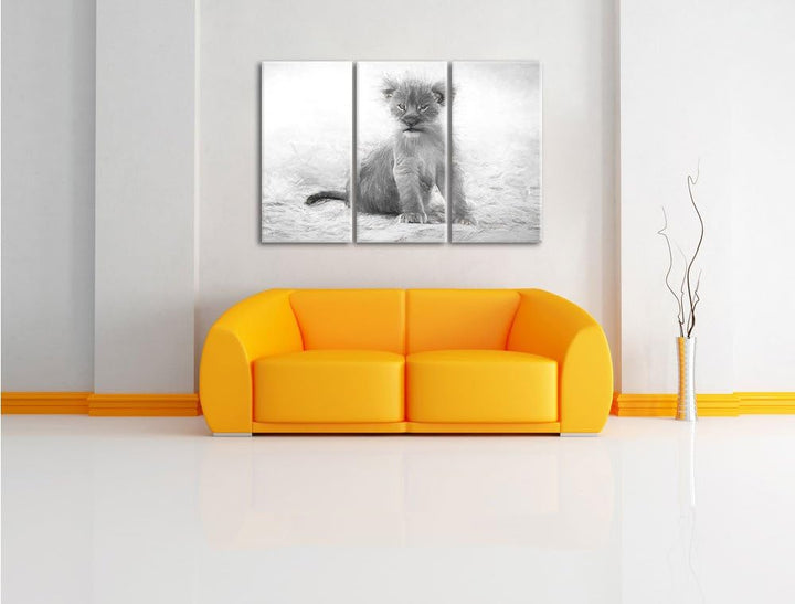 Pixxprint Verlassenes Löwenbaby als Leinwandbild/Grösse: 3 Teilig (120x80) cm/Wandbild/Kunstdruck/fe