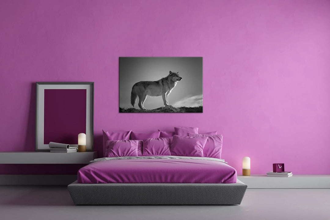 Der Wolf - das Raubtier des Waldes Format: 80x60 als Leinwand, Effekt: Schwarz&Weiss, Motiv fertig g