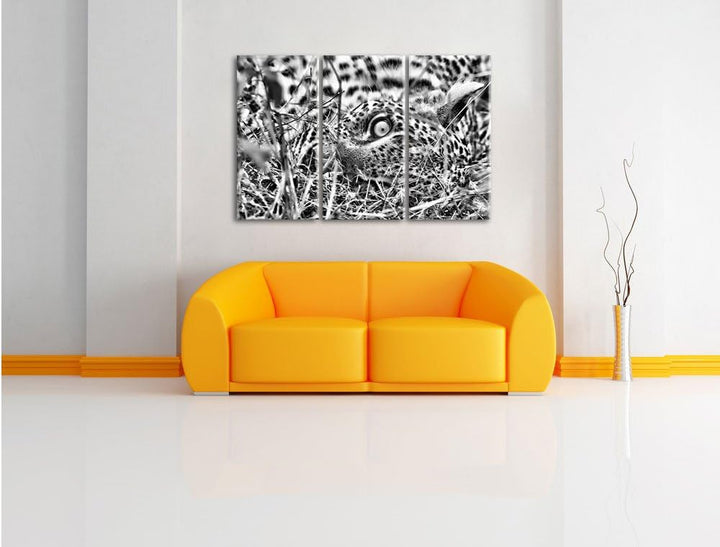Pixxprint Leopard als Leinwandbild/Grösse: 3 Teilig (120x80) cm/Wandbild/Kunstdruck/fertig bespannt