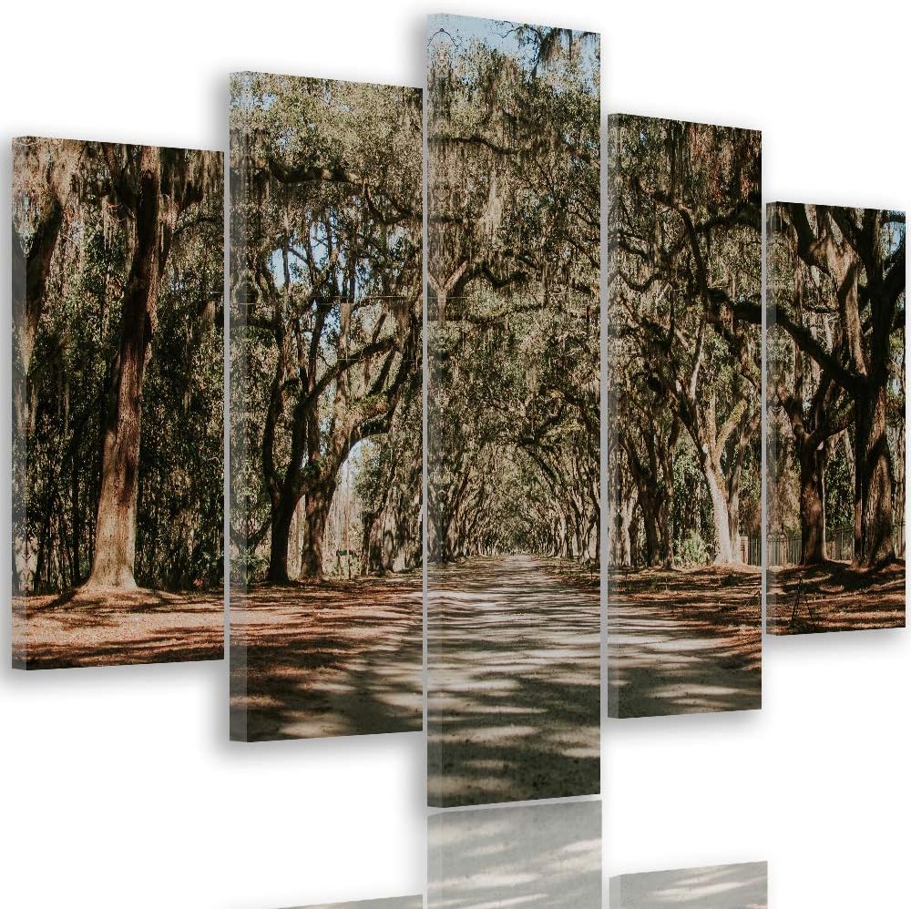 Feeby Leinwandbild Landschaft 5 TLG Bild Kunstdruck Natur Bäume Weg Allee bunt 100x70 cm Leinwandbil