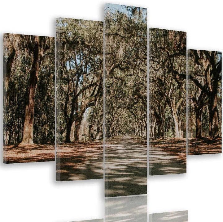 Feeby Leinwandbild Landschaft 5 TLG Bild Kunstdruck Natur Bäume Weg Allee bunt 100x70 cm Leinwandbil