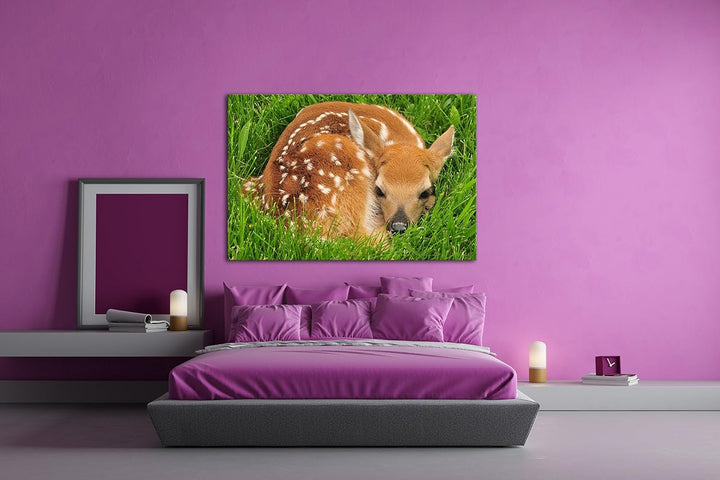 deyoli goldiges Rehkitz im hohen Gras Format: 80x60 als Leinwandbild, Motiv fertig gerahmt auf Echth
