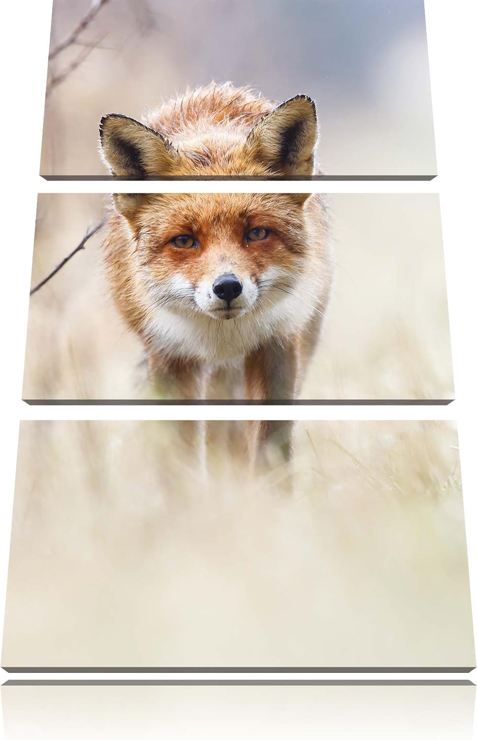 Pixxprint Schleichender Fuchs als Leinwandbild | Grösse: 3 Teilig (120x80) | Wandbild| Kunstdruck |