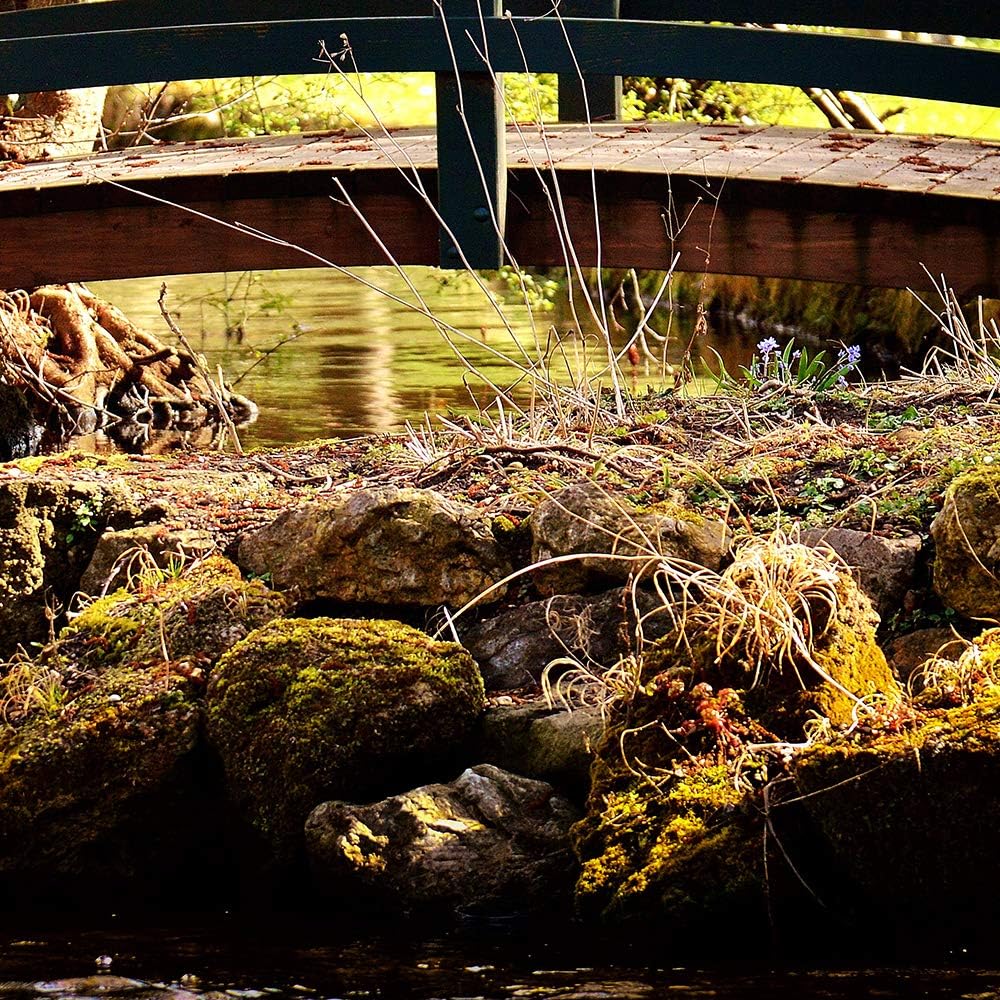 Feeby Leinwandbild 5 Teilig Landschaft Bild Wanddeko Brücke Bächlein Steine gelb 200x100 cm Leinwand