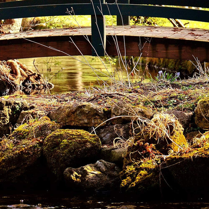 Feeby Leinwandbild 5 Teilig Landschaft Bild Wanddeko Brücke Bächlein Steine gelb 200x100 cm Leinwand