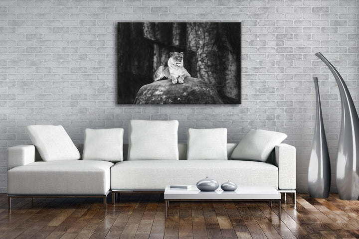 deyoli erhabene stolze Löwin Format: 120x80 Effekt: Schwarz/Weiss als Leinwand, Motiv fertig gerahmt