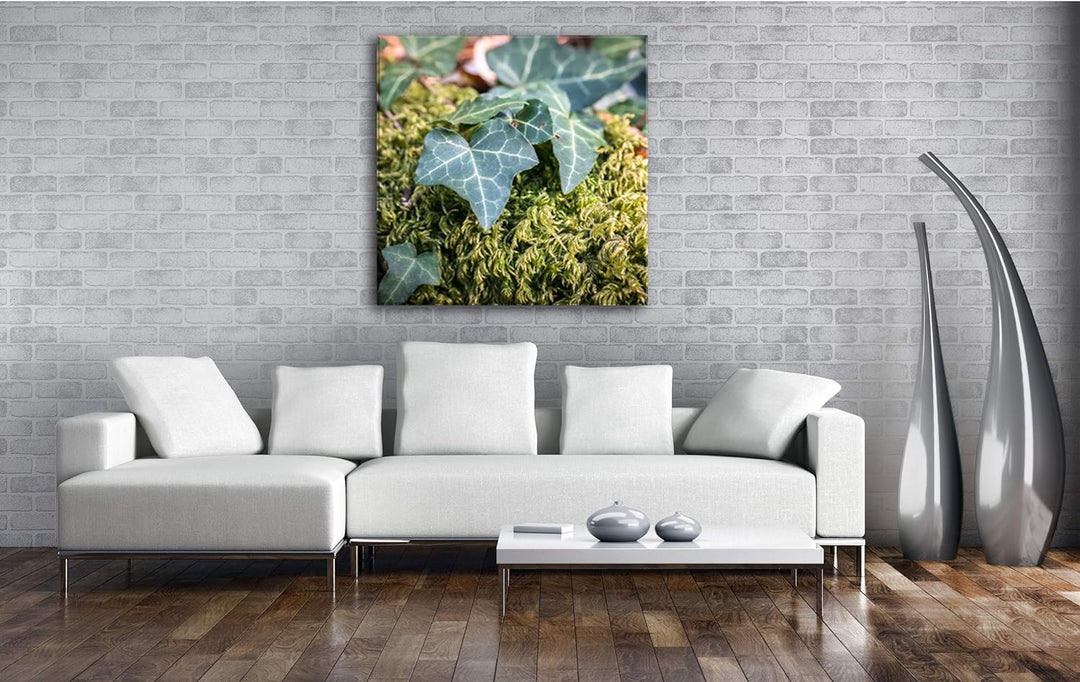deyoli Moos und Efeu bedeckter Boden Format: 60x60 als Leinwandbild, Motiv fertig gerahmt auf Echtho