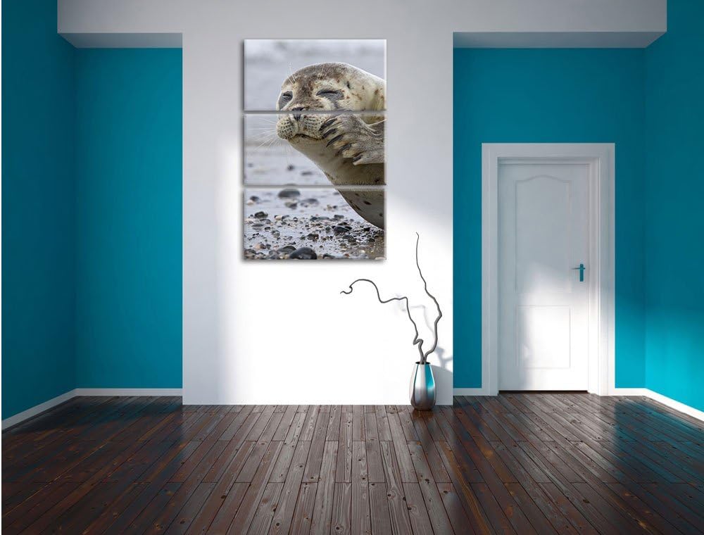 Pixxprint süsse Robbe beim Putzen als Leinwandbild/Grösse: 3 Teilig (120x80) cm/Wandbild/Kunstdruck/