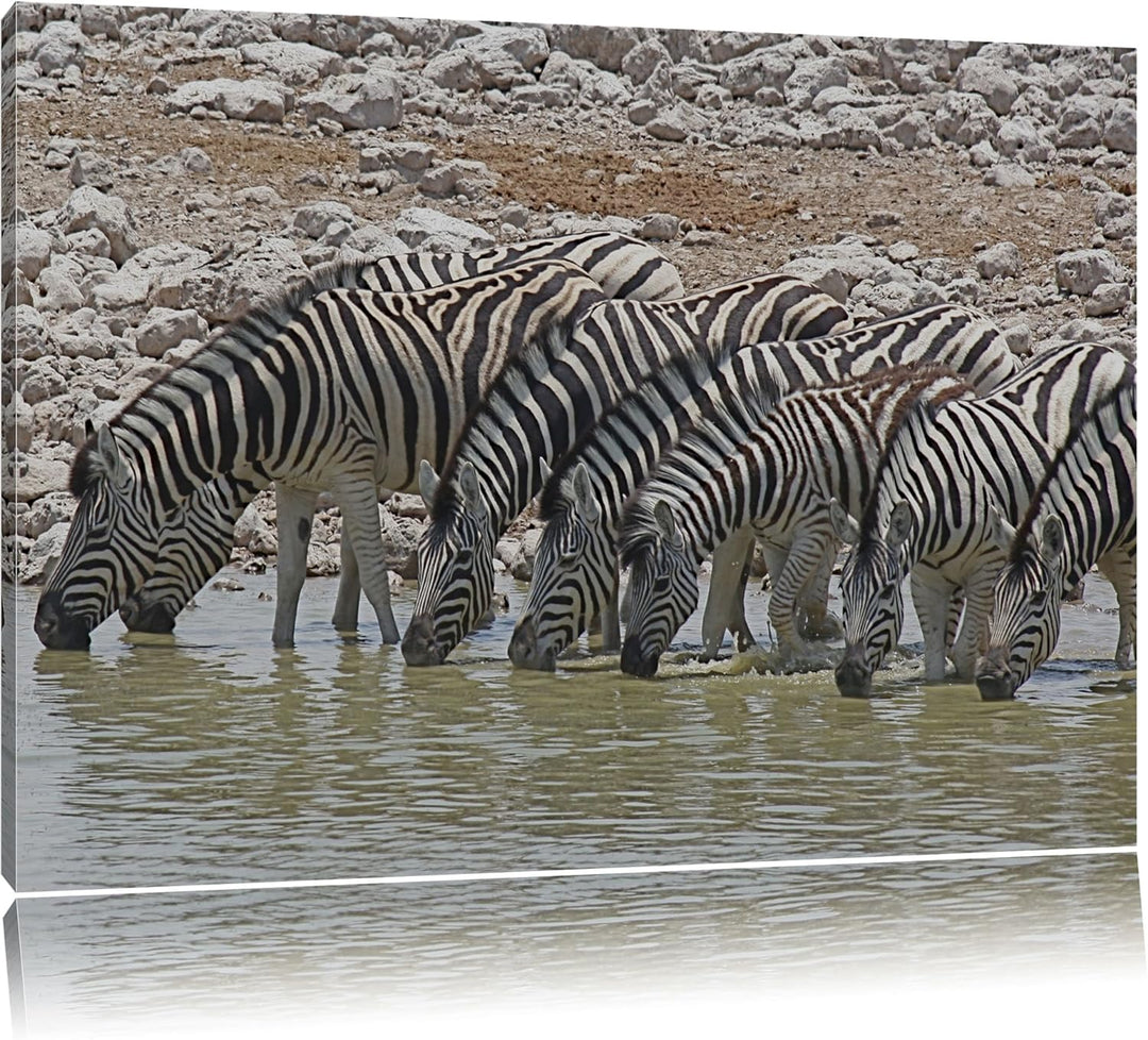 Zebraherde am Wasserloch Leinwand, XXL riesige Bilder fertig gerahmt mit Keilrahmen, Kunstdruck auf