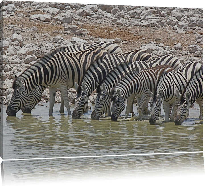 Zebraherde am Wasserloch Leinwand, XXL riesige Bilder fertig gerahmt mit Keilrahmen, Kunstdruck auf