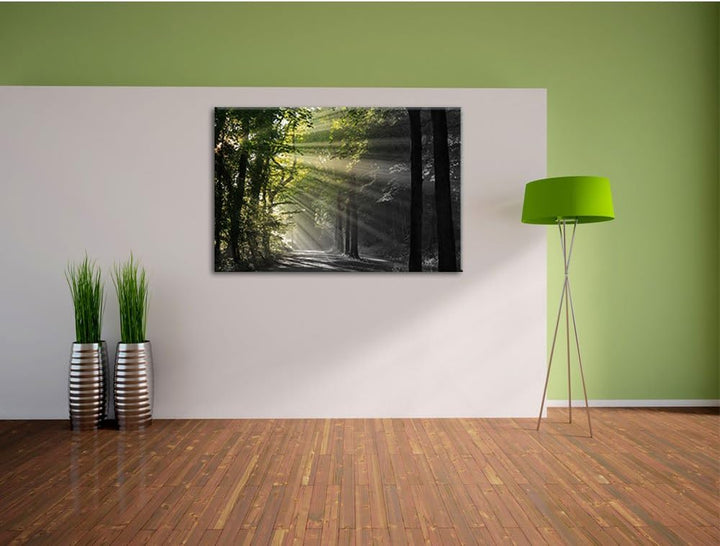Pixxprint Waldweg im Frühling als Leinwandbild/Grösse: 100x70 cm/Wandbild/Kunstdruck/fertig bespannt
