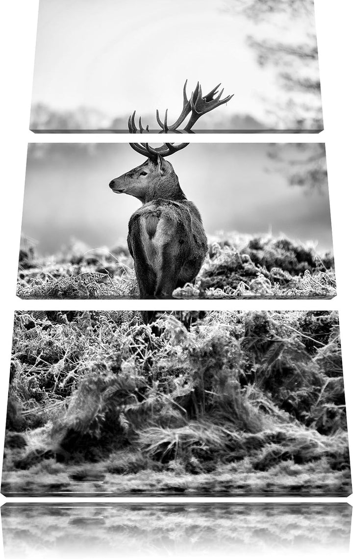 Pixxprint Monocrome, Stolzer Hirsch 3-Teiler Leinwandbild 120x80 Bild auf Leinwand