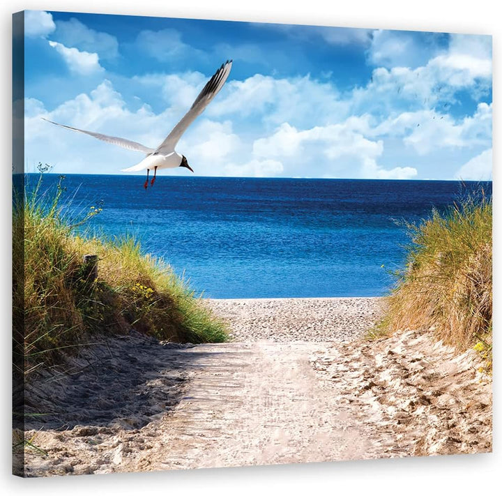 Feeby Wanddeko Ostsee Nordsee Strand 50x50 cm Leinwandbild Kunstdruck Möwe Pfad Gras Blau 17253 50x5