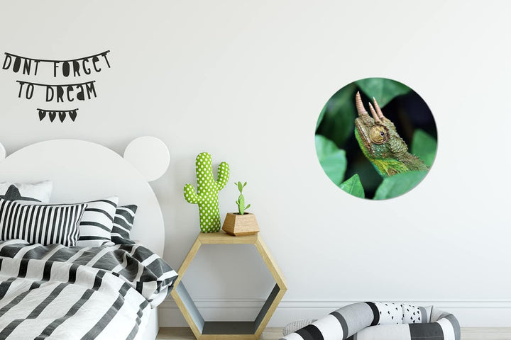 MuchoWow Wandbild Rund Wanddeko Deko Wohnzimmer Bilder 30x30 cm Verstecktes Chamäleon zwischen den B