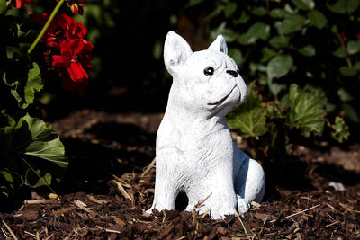 stoneandstyle Steinfigur französische Bulldogge Dogge Hund, Frost- und Wetterfest, handgearbeitet