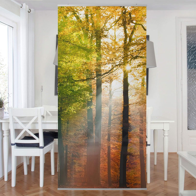 Bilderwelten Raumteiler Morning Light 250x120cm inkl. transparenter Halterung 250x120cm incl. transp