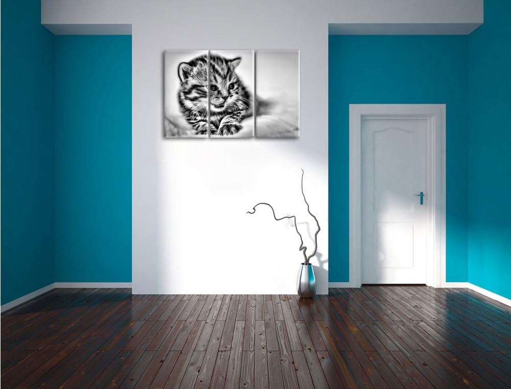 Pixxprint kleines Kätzchen auf weisser Decke als Leinwandbild/Grösse: 3 Teilig (120x80) cm/Wandbild/