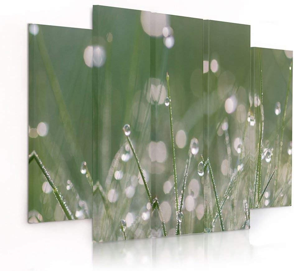 Feeby Frames, Leinwandbild Bilder Wand Bild - 5 Teile - Wandbilder Kunstdruck (TAUTROPFEN GRAS, GRÜN