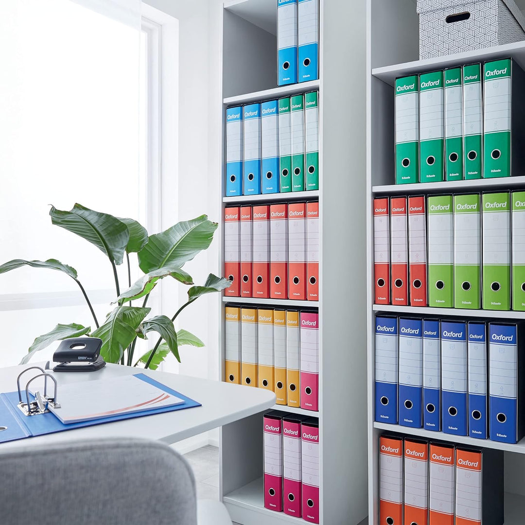 Esselte Business-Ordner mit Hebelmechanik und Aufbewahrungsschachtel Dorso 8 cm hellblau, hellblau