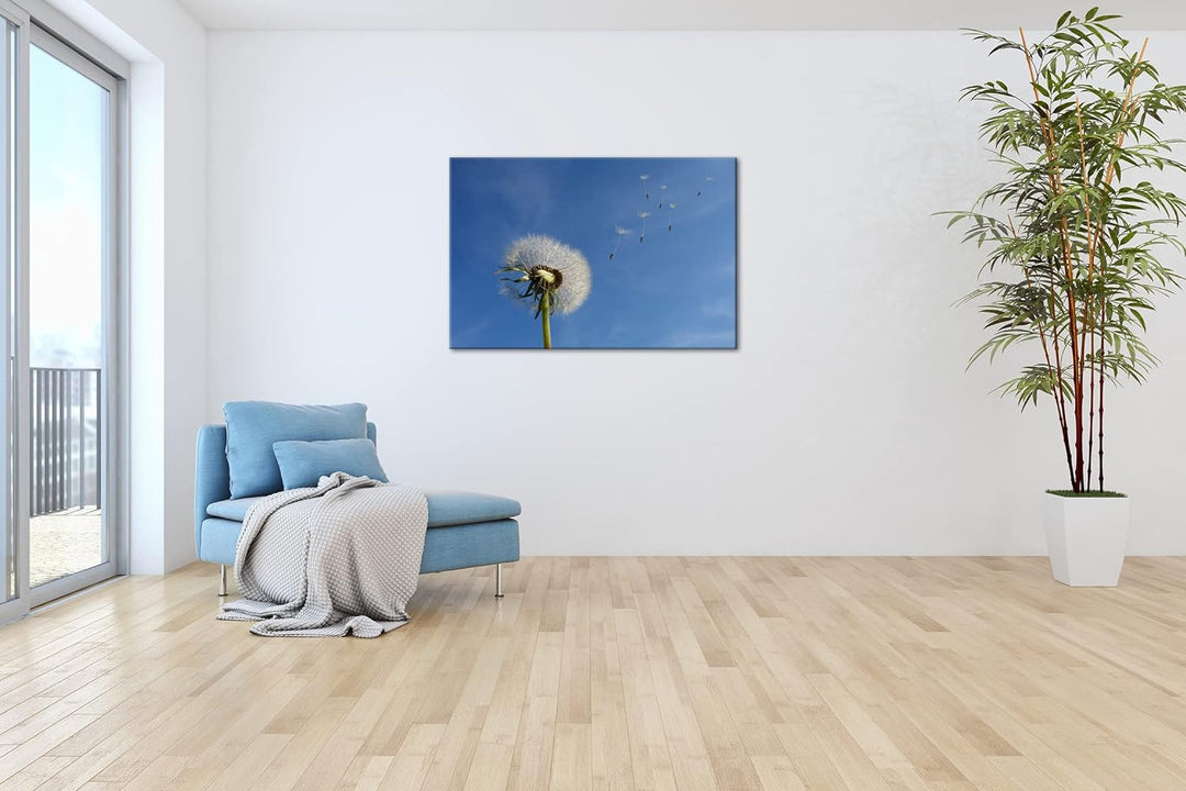 deyoli bezaubernde Pusteblume Format: 100x70 als Leinwandbild, Motiv fertig gerahmt auf Echtholzrahm