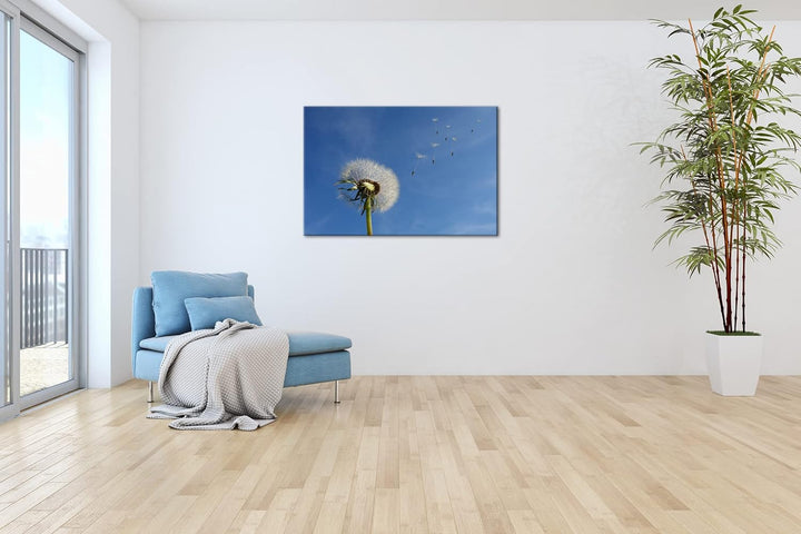 deyoli bezaubernde Pusteblume Format: 100x70 als Leinwandbild, Motiv fertig gerahmt auf Echtholzrahm