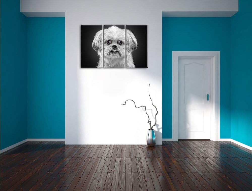 Pixxprint lustiger Kleiner Hund als Leinwandbild | Grösse: 3 Teilig (120x80) | Wandbild| Kunstdruck