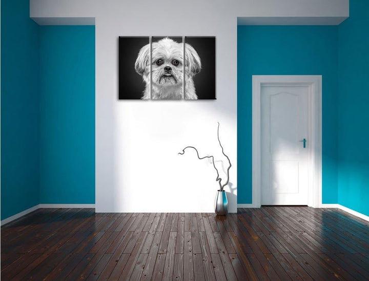 Pixxprint lustiger Kleiner Hund als Leinwandbild | Grösse: 3 Teilig (120x80) | Wandbild| Kunstdruck