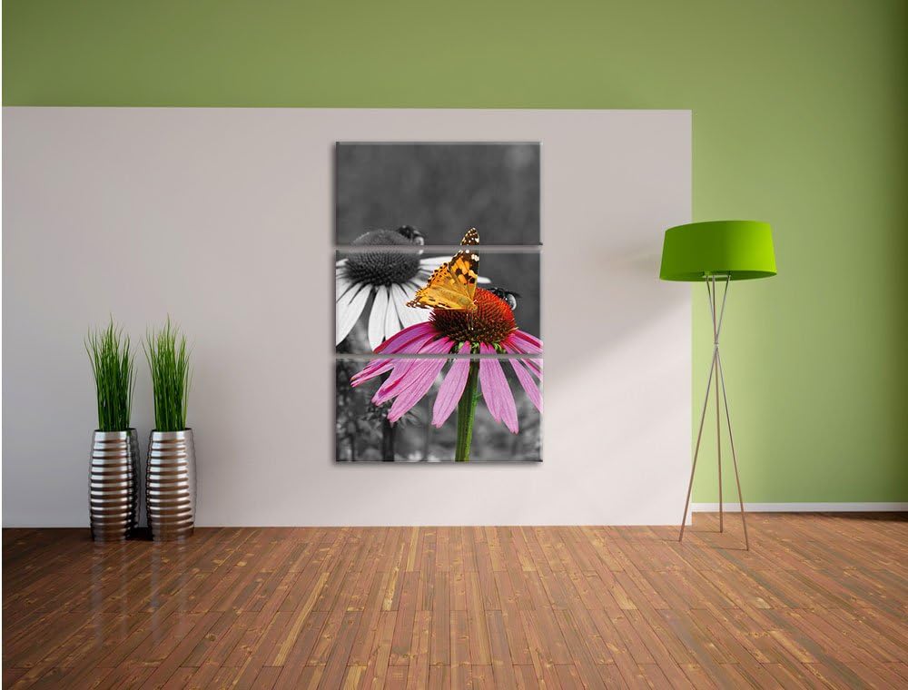 Pixxprint Schmetterling auf Kornblume als Leinwandbild/Grösse: 3 Teilig (120x80) cm/Wandbild/Kunstdr