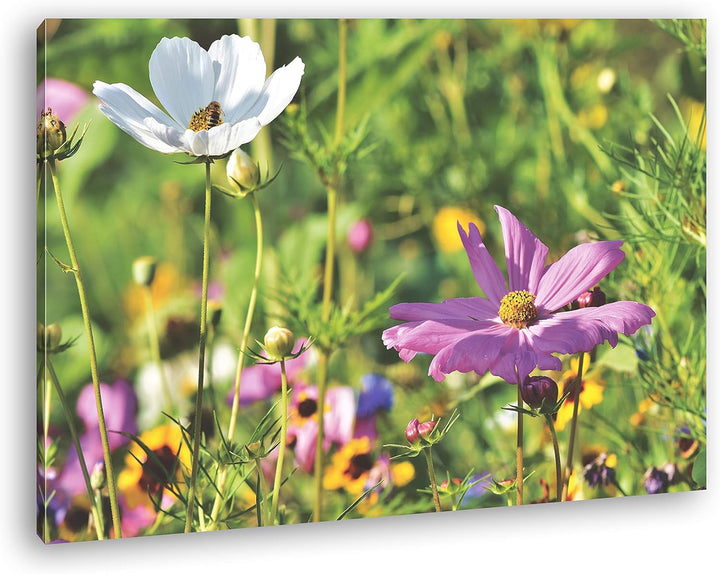 deyoli blühende Blumenwiese Format: 60x40 als Leinwand, Motiv fertig gerahmt auf Echtholzrahmen, Hoc