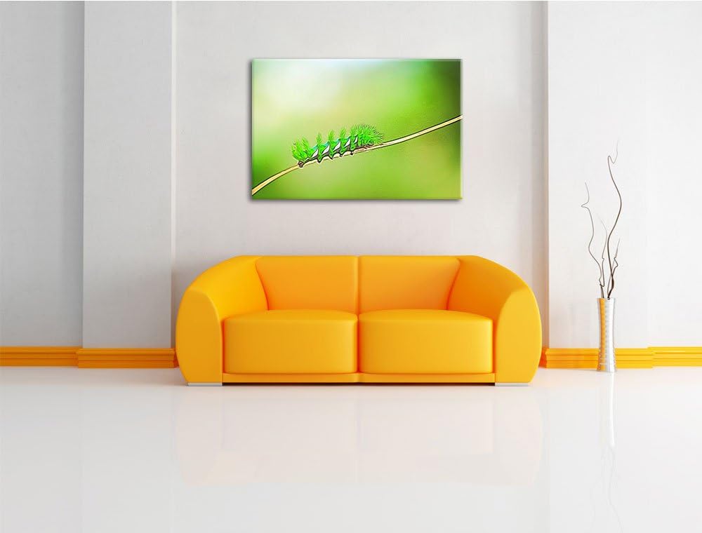 seltene grüne Raupe Deluxe Format: 100x70 cm auf Leinwand, XXL riesige Bilder fertig gerahmt mit Kei