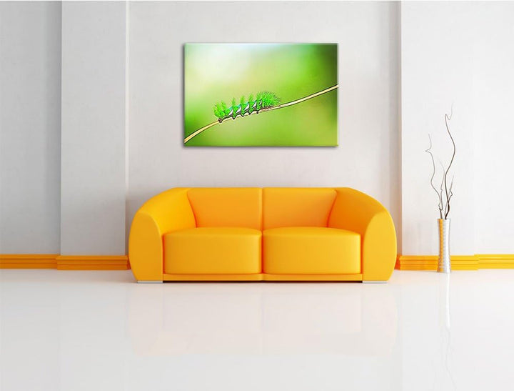 seltene grüne Raupe Deluxe Format: 100x70 cm auf Leinwand, XXL riesige Bilder fertig gerahmt mit Kei