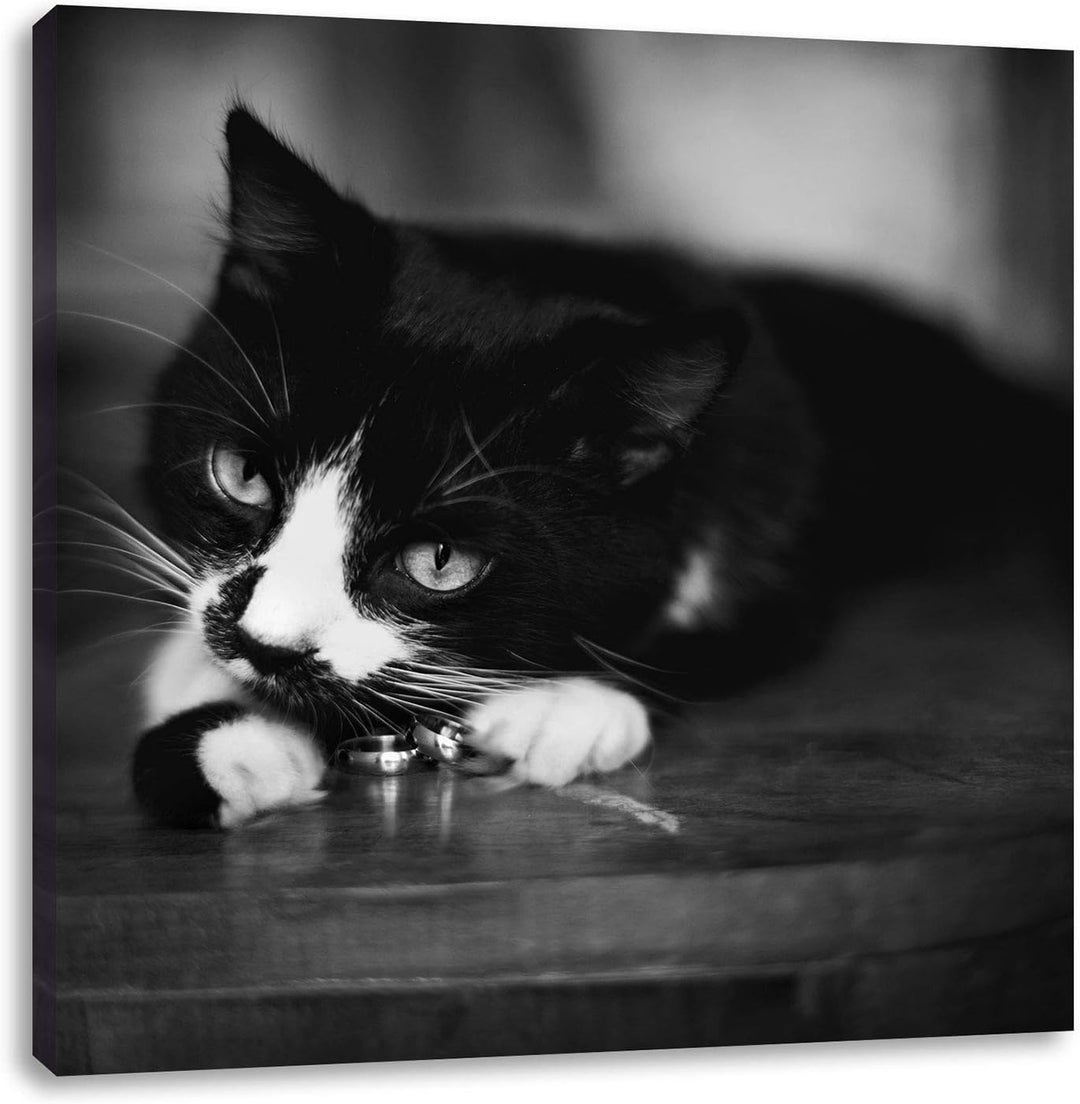Schwarze Katze spielt mit Ehering, Format: 70x70 auf Leinwand, 70x70