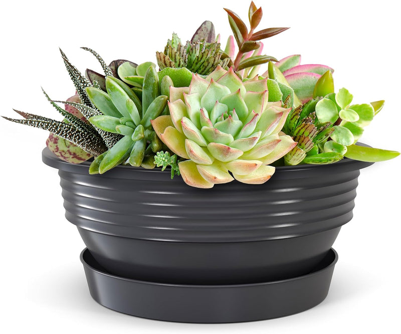 Pflanzschale mit Untersetzer im 5er Set in Anthrazit 40 cm Durchmesser grosse runde Blumenschalen au