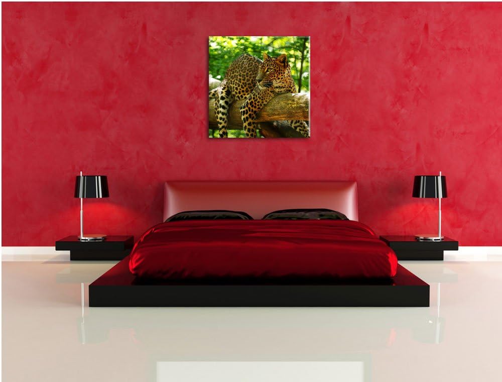 Pixxprint Leopard auf AST, Format: 70x70 auf Leinwand, XXL riesige Bilder fertig gerahmt mit Keilrah