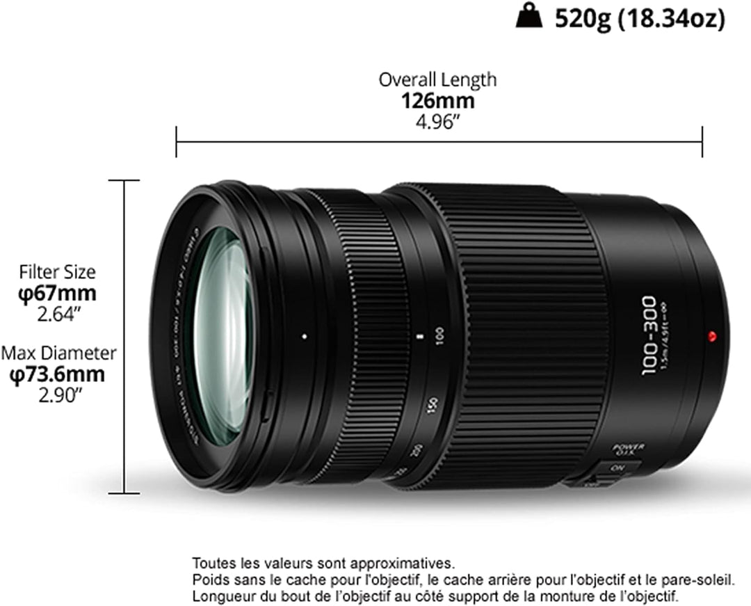 Panasonic H-FSA100300E Lumix G Vario 100-300 mm/ F4.0-5.6 II/ O.I.S. schwarz Single, Single
