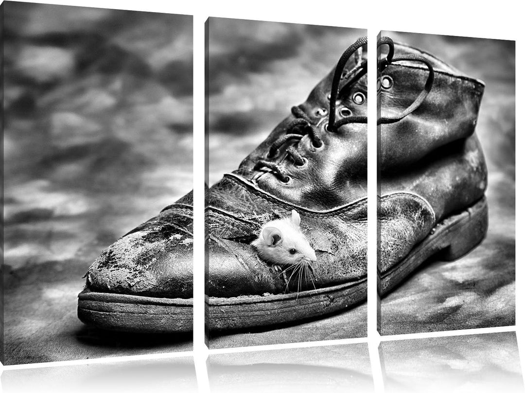 Pixxprint Maus, schwarzer Schuh, als Leinwandbild | Grösse: 3 Teilig (120x80) | Wandbild| Kunstdruck