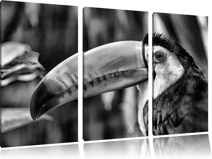 Pixxprint Monocrome, schöner Tukan 3-Teiler Leinwandbild 120x80 Bild auf Leinwand