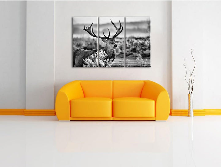 Pixxprint Stolzer Hirsch auf Wiese als Leinwandbild | Grösse: 3 Teilig (120x80) | Wandbild| Kunstdru