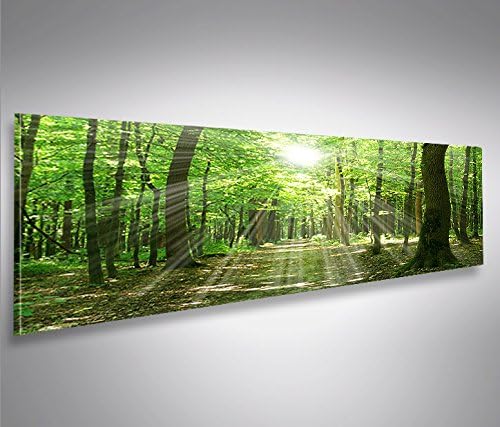 islandburner Bild Bilder auf Leinwand Sonnenstrahlen im Wald Bäume Spaziergang Panorama XXL Poster L