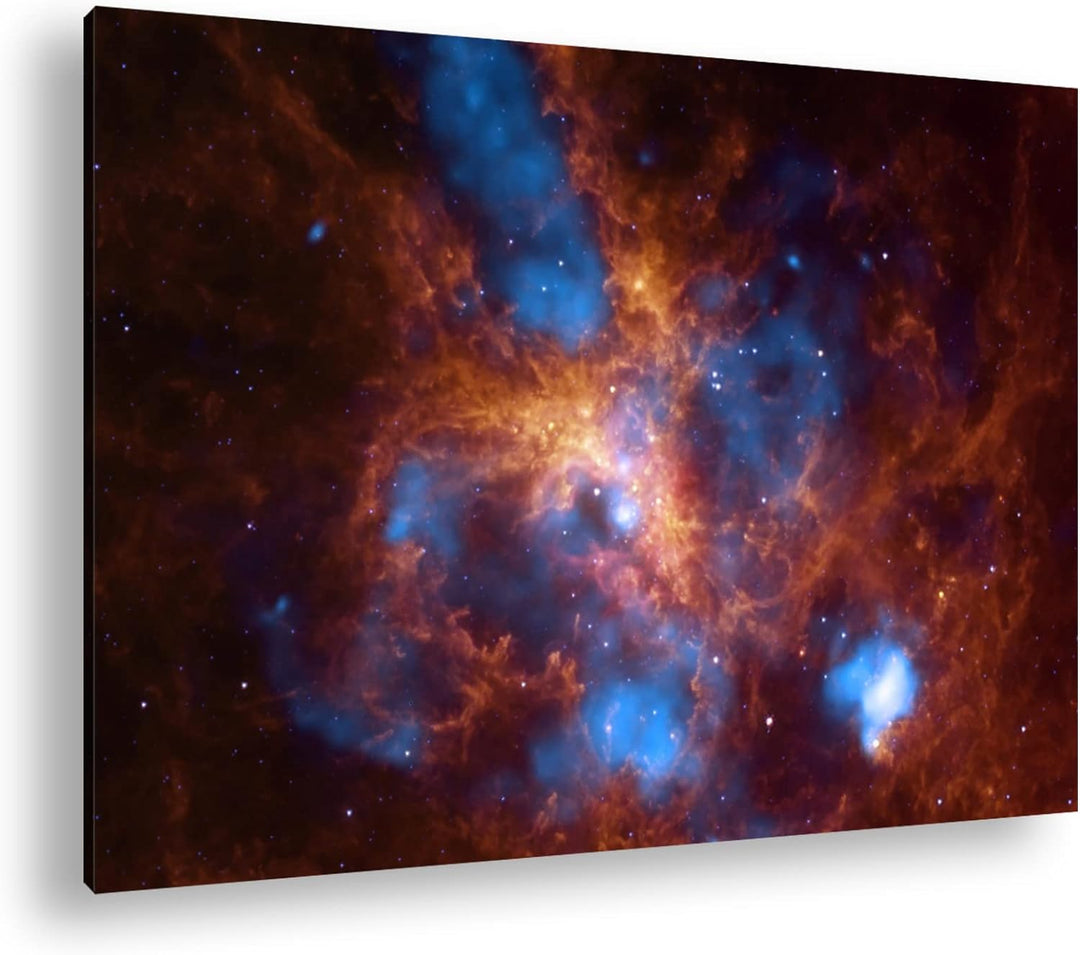 deyoli Tarantel Nebel Format: 80x60 als Leinwand, Motiv fertig gerahmt auf Echtholzrahmen, Hochwerti