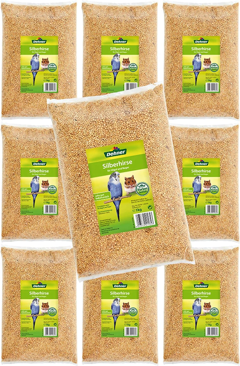 Dehner Vogel- und Nagerfuttersnack, Silberhirse, 10 x 1 kg (10 kg) Silberhirse 1 kg (10er Pack), Sil